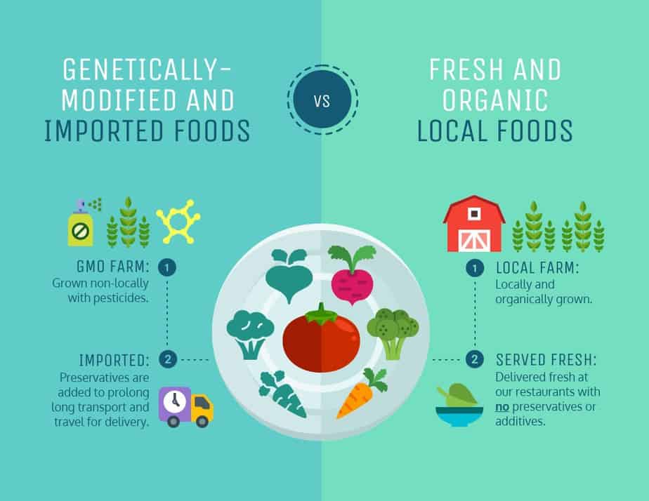 A Comparison Infographic Template comparing genetically modified foods with organic foods