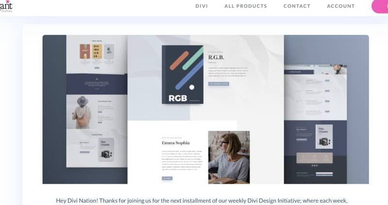 example of divi wordpress theme 