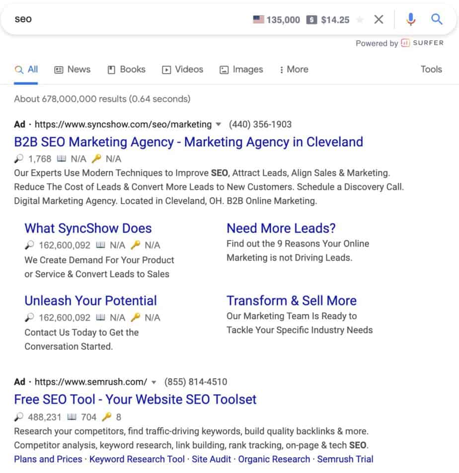 Google search screenshot  search for SEo