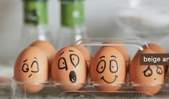 surprised eggs