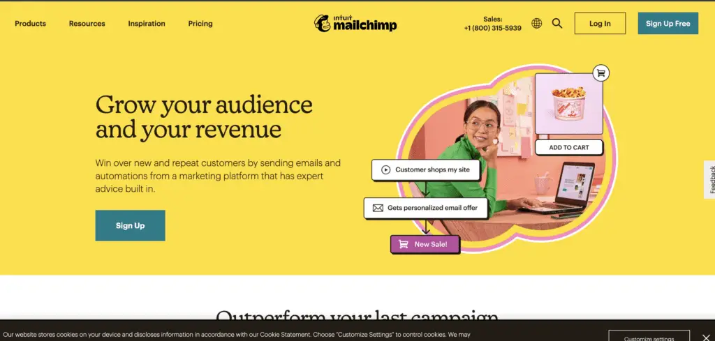 example of mailchimp with tagline