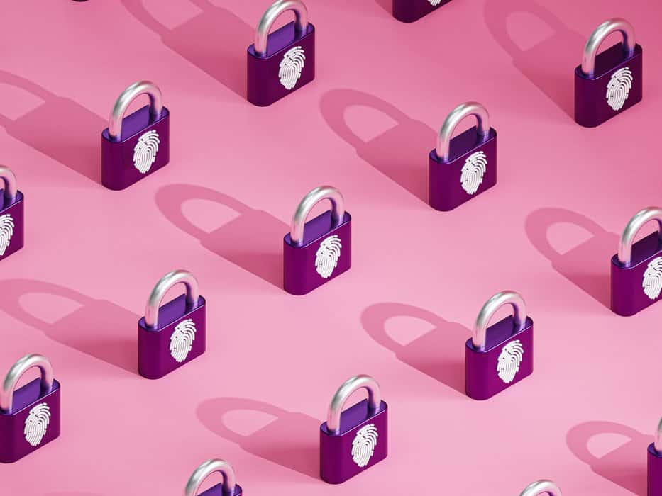 privacy locks