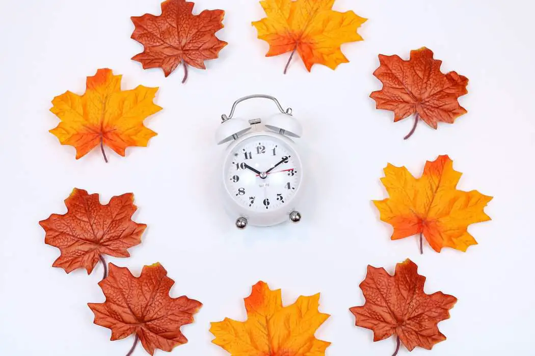 silver and white analog alarm clock - fall pricing strategies