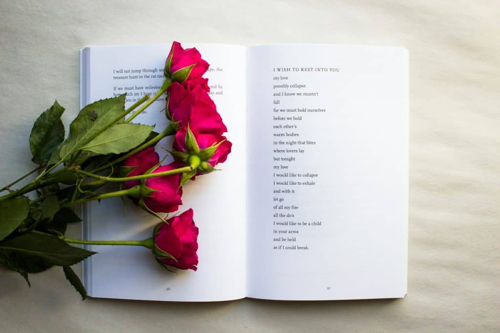 red roses on book - ways to find your ideal customer
