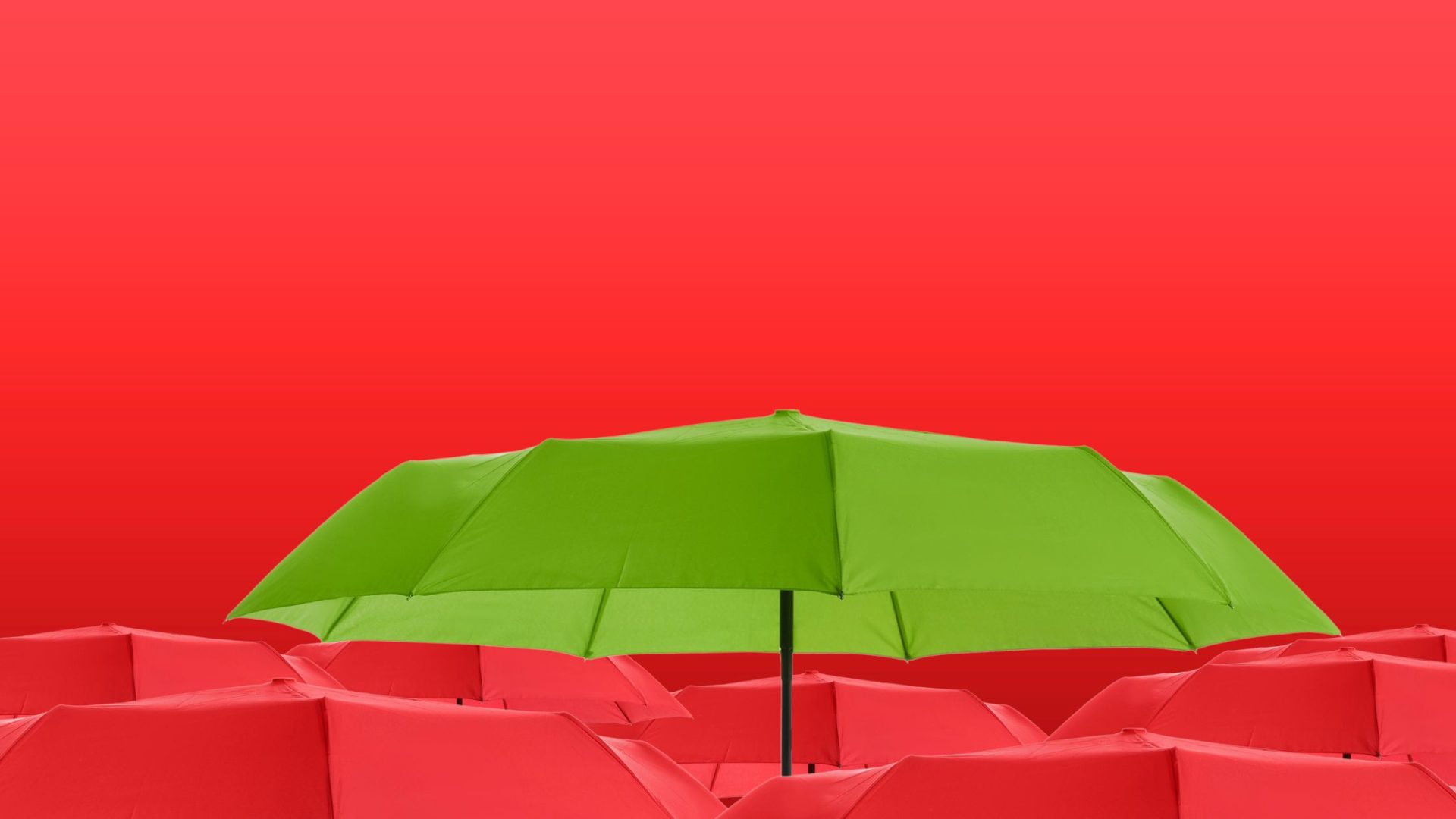 recession-proof small business. Bright green umbrella covering red umbrellas