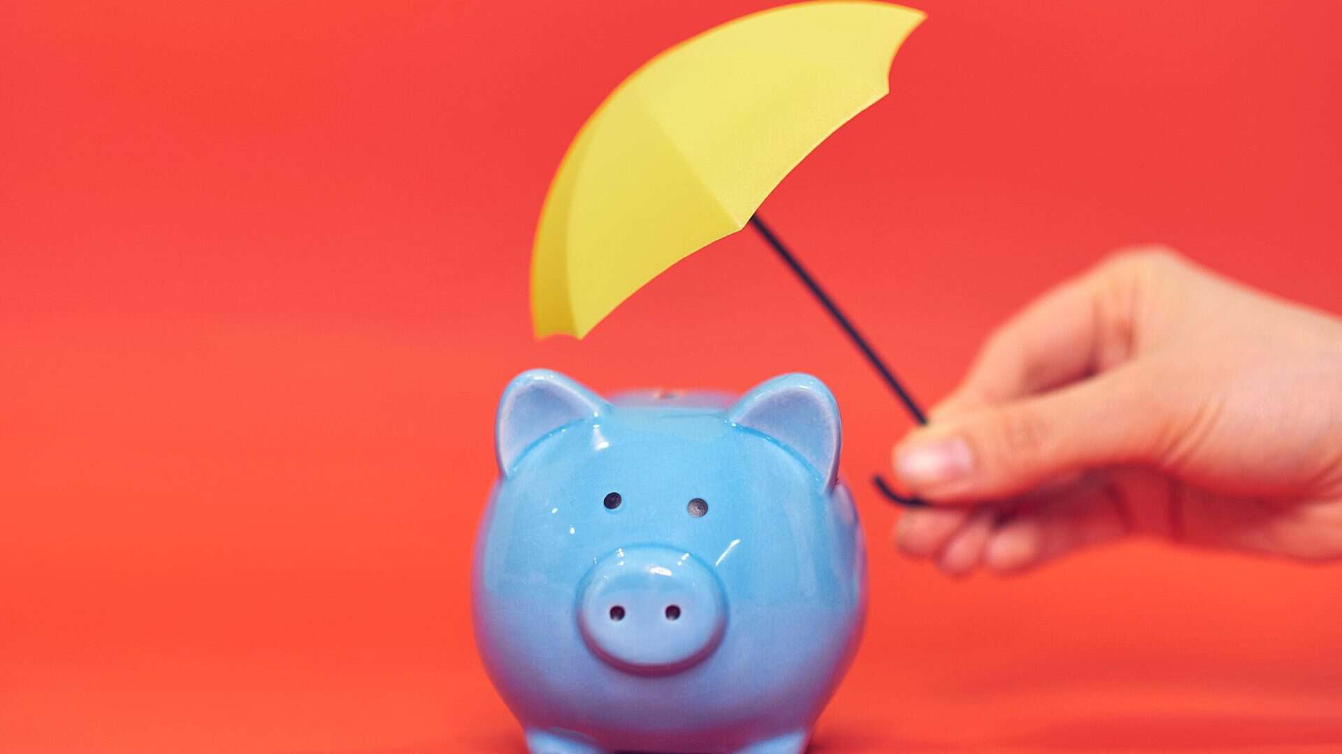 recession-proof small business. hand holding a small yellow umbrella protecting a blue piggy bank on red background