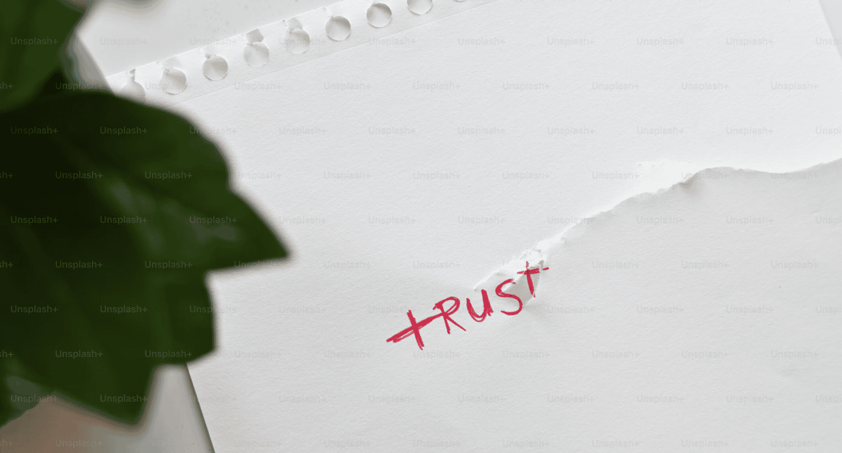 trust. -how to compete on price